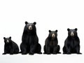 Ai Generated illustration Wildlife Concept of Black bear collection on white background Royalty Free Stock Photo