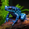 Ai Generated illustration Wildlife Concept of Blue poison dart frog exotic pet amphibian Royalty Free Stock Photo