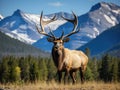 Ai Generated illustration Wildlife Concept of Bugling Elk Royalty Free Stock Photo