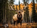 Ai Generated illustration Wildlife Concept of Bull elk bugling up close