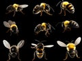 Ai Generated illustration Wildlife Concept of Bumblebees set Royalty Free Stock Photo