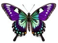 Ai Generated illustration Wildlife Concept of Butterfly species Graphium weiskei Royalty Free Stock Photo