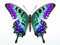 Ai Generated illustration Wildlife Concept of Butterfly species Graphium weiskei Royalty Free Stock Photo