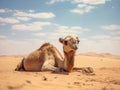 Ai Generated illustration Wildlife Concept of Camel in Qatar Desert Royalty Free Stock Photo