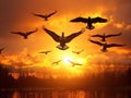 Ai Generated illustration Wildlife Concept of Canadian Geese Fly at Sunset Royalty Free Stock Photo