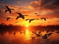 Ai Generated illustration Wildlife Concept of Canadian Geese Fly at Sunset Royalty Free Stock Photo