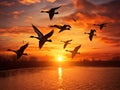 Ai Generated illustration Wildlife Concept of Canadian Geese Fly at Sunset Royalty Free Stock Photo