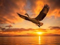 Ai Generated illustration Wildlife Concept of Canadian Goose flying at sunset Royalty Free Stock Photo