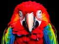 Ai Generated illustration Wildlife Concept of Colorful red parrot macaw Royalty Free Stock Photo