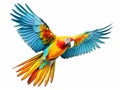 Ai Generated illustration Wildlife Concept of Colourful flying parrot