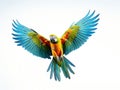 Ai Generated illustration Wildlife Concept of Colourful flying parrot