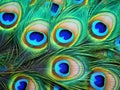 Ai Generated illustration Wildlife Concept of Detail of peacock feather eye Royalty Free Stock Photo