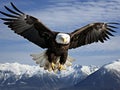 Ai Generated illustration Wildlife Concept of Eagle flying toward viewer Royalty Free Stock Photo