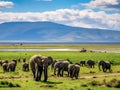 Ai Generated illustration Wildlife Concept of Elephant herd Ngorongoro Crater Tanzania Royalty Free Stock Photo