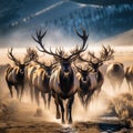 Ai Generated illustration Wildlife Concept of Elk Herd Royalty Free Stock Photo