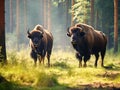 Ai Generated illustration Wildlife Concept of European Bisons