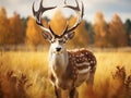 Ai Generated illustration Wildlife Concept of Fallow Deer Royalty Free Stock Photo