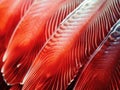 Ai Generated illustration Wildlife Concept of Fish gills