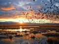 Ai Generated illustration Wildlife Concept of Flock of Migratory Birds over a Marsh