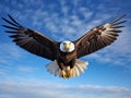 Ai Generated illustration Wildlife Concept of Flying Bald Eagle Royalty Free Stock Photo