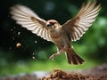 Ai Generated illustration Wildlife Concept of Flying House Sparrow