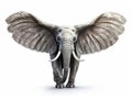 Ai Generated illustration Wildlife Concept of Fun Flying Elephant with Wings Isolated Royalty Free Stock Photo