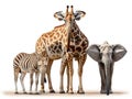 Ai Generated illustration Wildlife Concept of Giraffe Kudu Zebra and Elephant Royalty Free Stock Photo