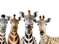 Ai Generated illustration Wildlife Concept of Giraffe Kudu Zebra and Elephant Royalty Free Stock Photo