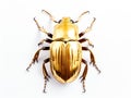 Ai Generated illustration Wildlife Concept of Golden beetle