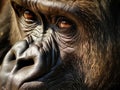 Ai Generated illustration Wildlife Concept of Gorilla (captive)