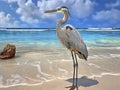 Ai Generated illustration Wildlife Concept of Great Blue Heron on beach
