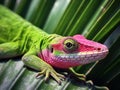 Ai Generated illustration Wildlife Concept of Green Anole Lizard