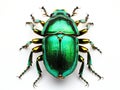 Ai Generated illustration Wildlife Concept of Green beetle