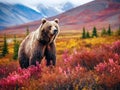 Ai Generated illustration Wildlife Concept of Grizzly bear in Denali National Park Royalty Free Stock Photo