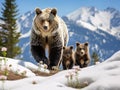Ai Generated illustration Wildlife Concept of Grizzly Bear Royalty Free Stock Photo