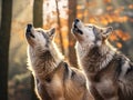 Ai Generated illustration Wildlife Concept of Howling Mexican gray wolves