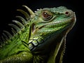 Ai Generated illustration Wildlife Concept of Iguana Royalty Free Stock Photo