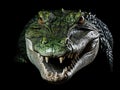 Ai Generated illustration Wildlife Concept of Isolated Alligator Royalty Free Stock Photo