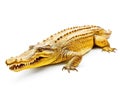 Ai Generated illustration Wildlife Concept of Isolated golden crocodile