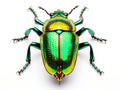 Ai Generated illustration Wildlife Concept of Isolated Green Bug Royalty Free Stock Photo