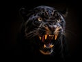 Ai Generated illustration Wildlife Concept of Jaguar with a black background Royalty Free Stock Photo
