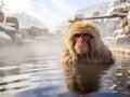 Ai Generated illustration Wildlife Concept of Japanese Macaque in hot spring