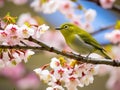 Ai Generated illustration Wildlife Concept of Japanese White Eye on a Cherry Blossom Tree Royalty Free Stock Photo