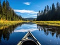 Ai Generated illustration Wildlife Concept of Kayaking through wetlands and forest in Oregon