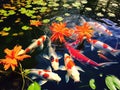 Ai Generated illustration Wildlife Concept of Koi fish in pond colorful natural background Royalty Free Stock Photo