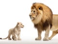 Ai Generated illustration Wildlife Concept of Lion cub growing from 3 to 9 months in front of Royalty Free Stock Photo