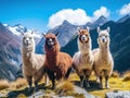 Ai Generated illustration Wildlife Concept of Llamas in Andes Mountains Peru Royalty Free Stock Photo