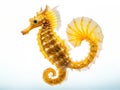 Ai Generated illustration Wildlife Concept of Longsnout seahorse or Slender seahorse Royalty Free Stock Photo