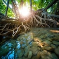 Ai Generated illustration Wildlife Concept of Mangrove tree roots in jungle Royalty Free Stock Photo