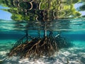 Ai Generated illustration Wildlife Concept of Mangrove trees roots above and below the water